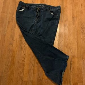 Lane Bryant Genius Fit Jeans size 28